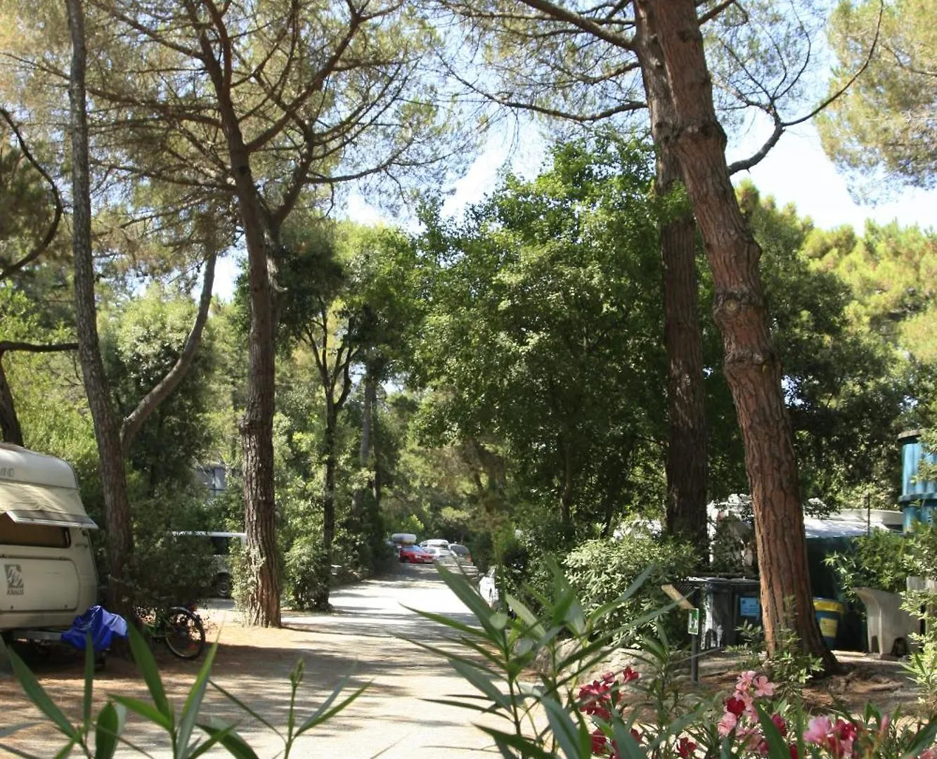 Camping Casa Di Caccia マリーナ・ディ・ビッボーナ