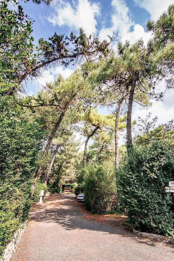 Camping Casa Di Caccia マリーナ・ディ・ビッボーナ 2*,
